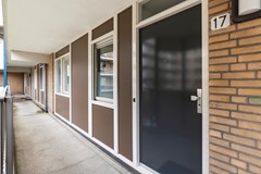 Zadkinerade 17_12.jpg